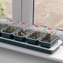 Window Sill Propagator With 14 Seed Trays And Covers -Verdura Garden Store image 139609