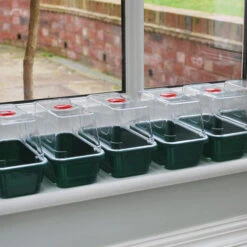 Window Sill Propagator With 14 Seed Trays And Covers -Verdura Garden Store image 139614