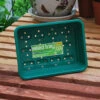 Half Seed Trays Pack Of 6 -Verdura Garden Store image 139620