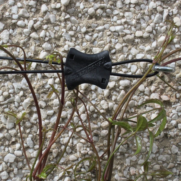 Gripple Plant Support System Starter Pack 9 Gripple Plant Support System Starter Pack - Image 9