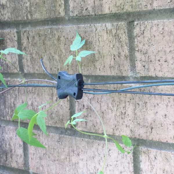 Gripple Plant Support System Starter Pack 8 Gripple Plant Support System Starter Pack - Image 8