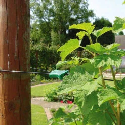 Gripple Plant Support System Starter Pack 23 Gripple Plant Support System Starter Pack -Verdura Garden Store image 140149