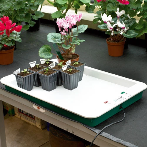 Fixed Temperature Propagator Base 1 Fixed Temperature Propagator Base