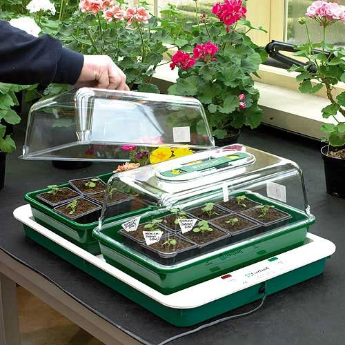 Fixed Temperature Propagator 1 Fixed Temperature Propagator