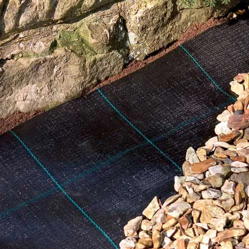 Ground Cover 1 Ground Cover