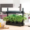 Grow Light Garden Propagator 12 Grow Light Garden Propagator -Verdura Garden Store image 61268