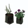 Polythene Pots -Verdura Garden Store image 61686