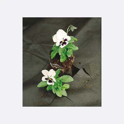 Weed Mulch 1 Weed Mulch