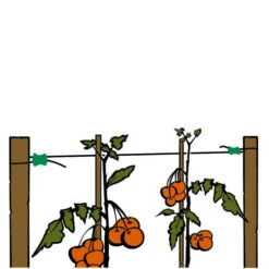 Gripple Plant Support System Starter Pack 35 Gripple Plant Support System Starter Pack -Verdura Garden Store image 64694