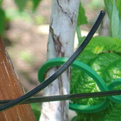 Gripple 50m Of Plastic Wire -Verdura Garden Store image 64697