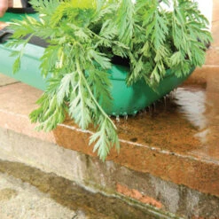 Colander Trug -Verdura Garden Store image 65945