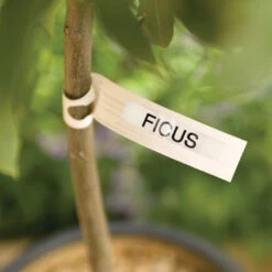 Electronic Garden Labeller -Verdura Garden Store image 83169