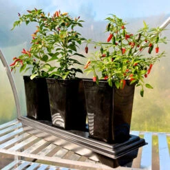 Triplegrow Planter Chillegrow -Verdura Garden Store image 83435