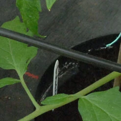 Iriso Tube Per Metre -Verdura Garden Store image 85279