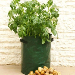 Potato Patio Planters
