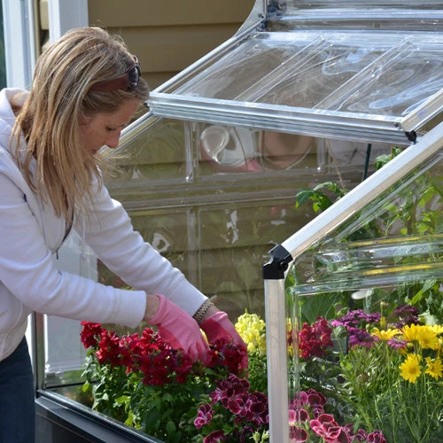 Palram Canopia Plant Inn 9 Palram Canopia Plant Inn - Image 9