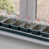 Window Sill Propagator