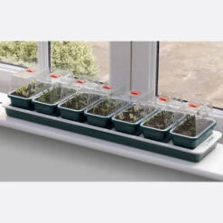 Window Sill Propagator -Verdura Garden Store image 86966