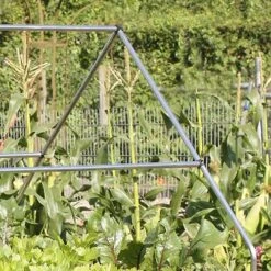 Featured Products -Verdura Garden Store image 87058