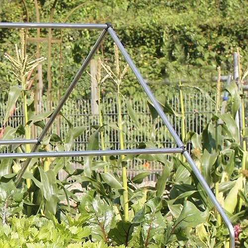 Raised Bed Canopy Support 2 Raised Bed Canopy Support - Image 2