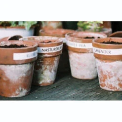 Laminated Tape For Garden Labeller -Verdura Garden Store image 88766