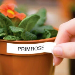 Laminated Tape For Garden Labeller -Verdura Garden Store image 88767