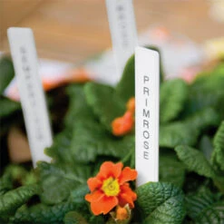 Laminated Tape For Garden Labeller -Verdura Garden Store image 88768