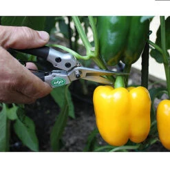 Darlac Compact Snips 8 Darlac Compact Snips -Verdura Garden Store image 88939