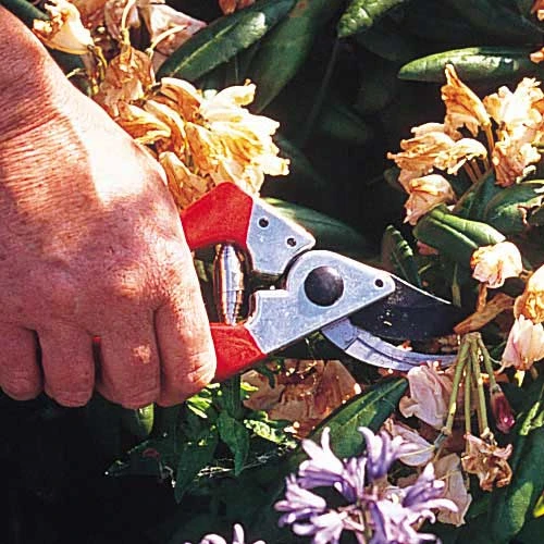 Darlac Professional Secateurs 2 Darlac Professional Secateurs - Image 2
