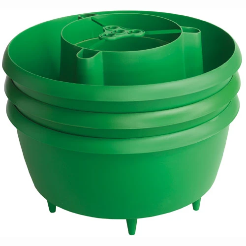 Plant Halos 2 Plant Halos - Image 2