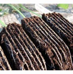 Rootrainers 9 Rootrainers -Verdura Garden Store image 91392