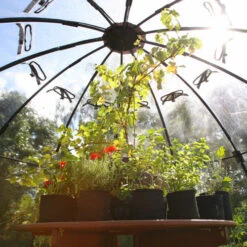 Sunbubble -Verdura Garden Store pgsun3