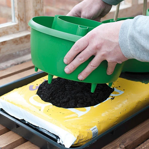 Plant Halos 3 Plant Halos - Image 3