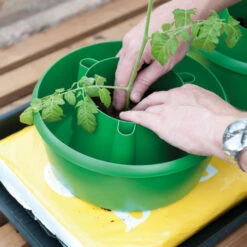 Plant Halos 11 Plant Halos -Verdura Garden Store plh3 1