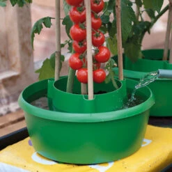 Plant Halos 12 Plant Halos -Verdura Garden Store plh5 1