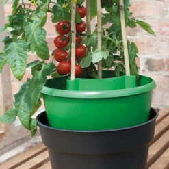 Plant Halos 15 Plant Halos -Verdura Garden Store plh7 1