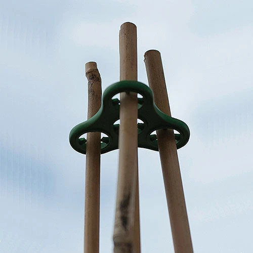 Plant Halos 7 Plant Halos - Image 7