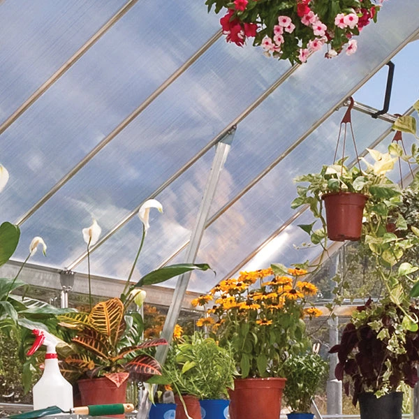 Palram Canopia Balance 8x12 Greenhouse 6 Palram Canopia Balance 8x12 Greenhouse - Image 6