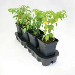 Quadgrow Planter 12 Quadgrow Planter -Verdura Garden Store qgp2 1 2