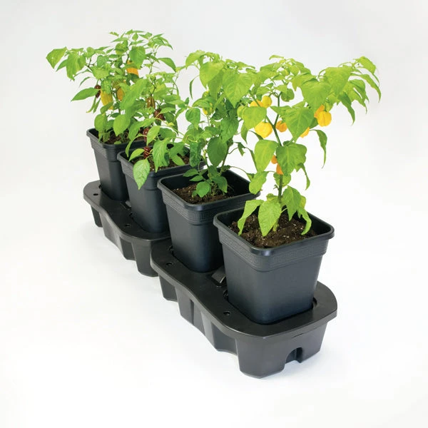 Quadgrow Planter 3 Quadgrow Planter - Image 3