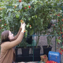 Quadgrow Planter 14 Quadgrow Planter -Verdura Garden Store qgp8 3