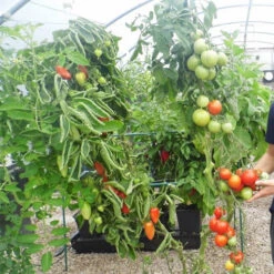 Quadgrow Planter 15 Quadgrow Planter -Verdura Garden Store qgp9 3