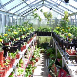 Two Tier Standard Up Staging -Verdura Garden Store usstt7