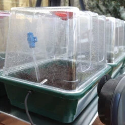 VariTemp Heated Propagator -Verdura Garden Store vthp8 2