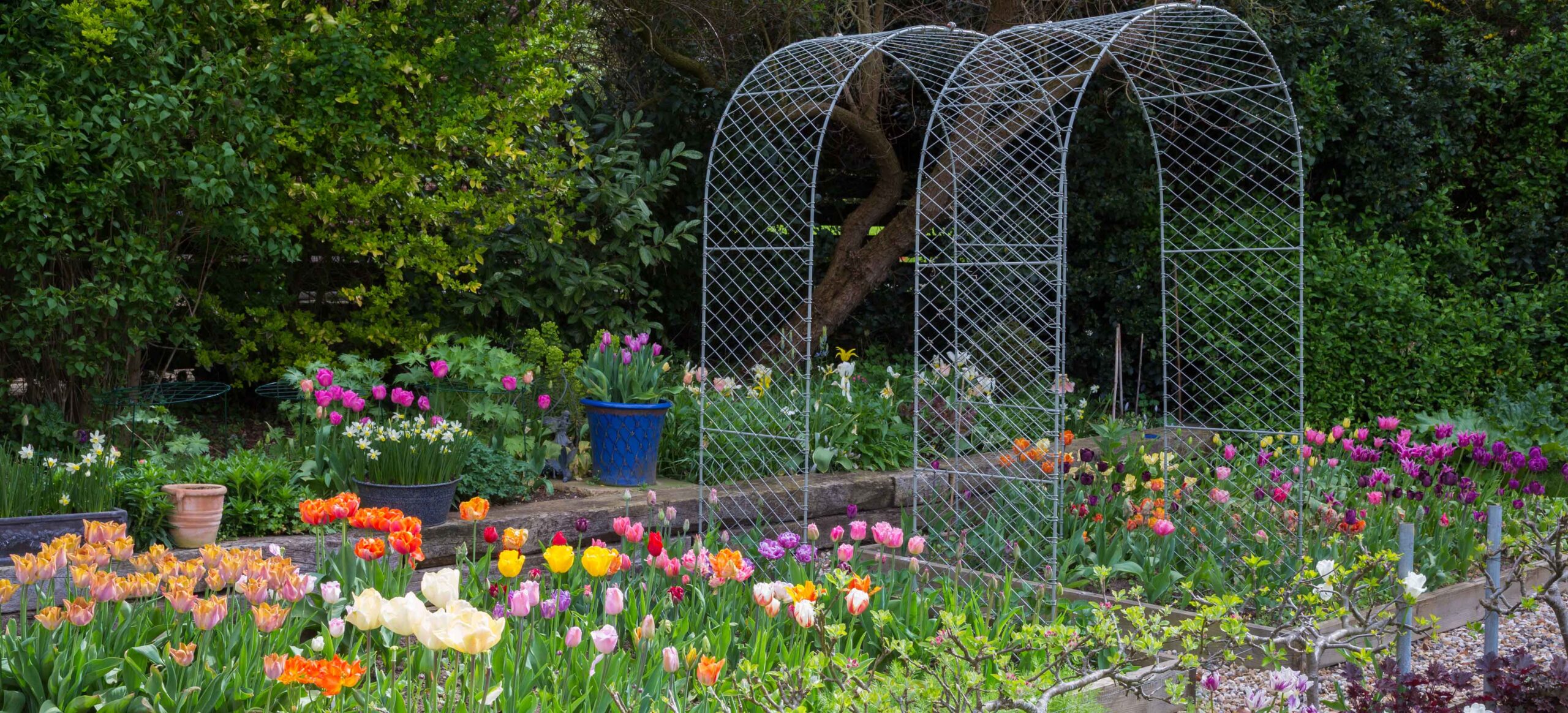 Verdura Garden Store -Verdura Garden Store Elegance Round Arches scaled