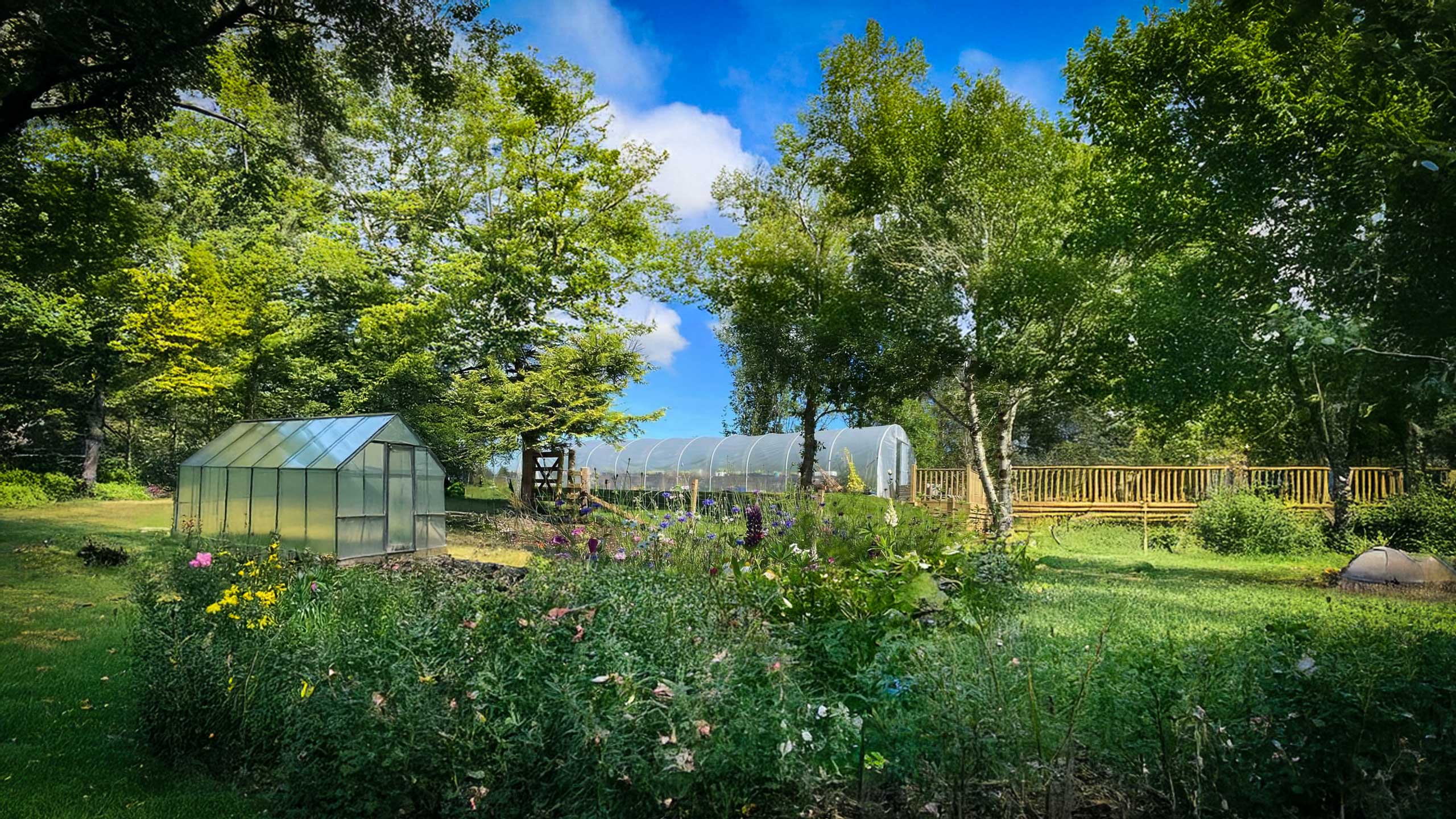 Verdura Garden Store -Verdura Garden Store polytunnels vs greenhouses 2